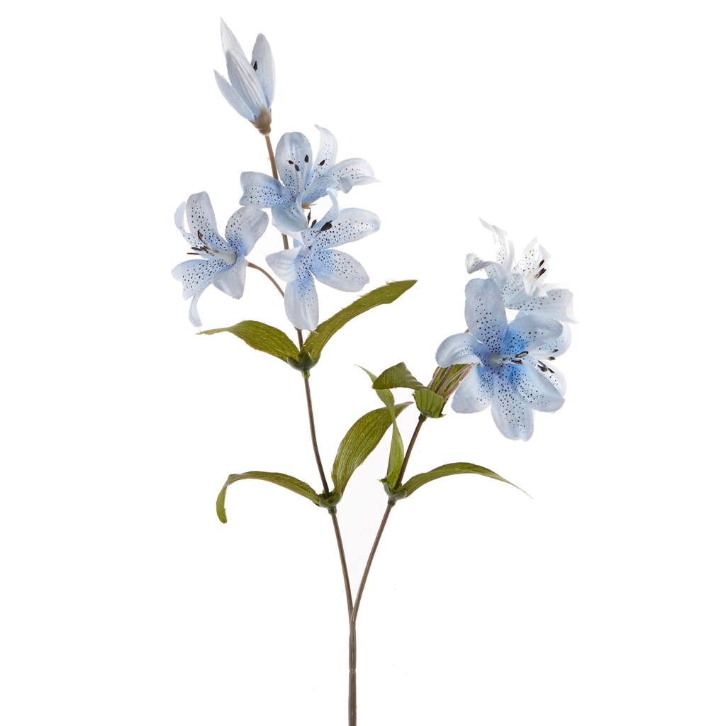 MP012025_1.png img